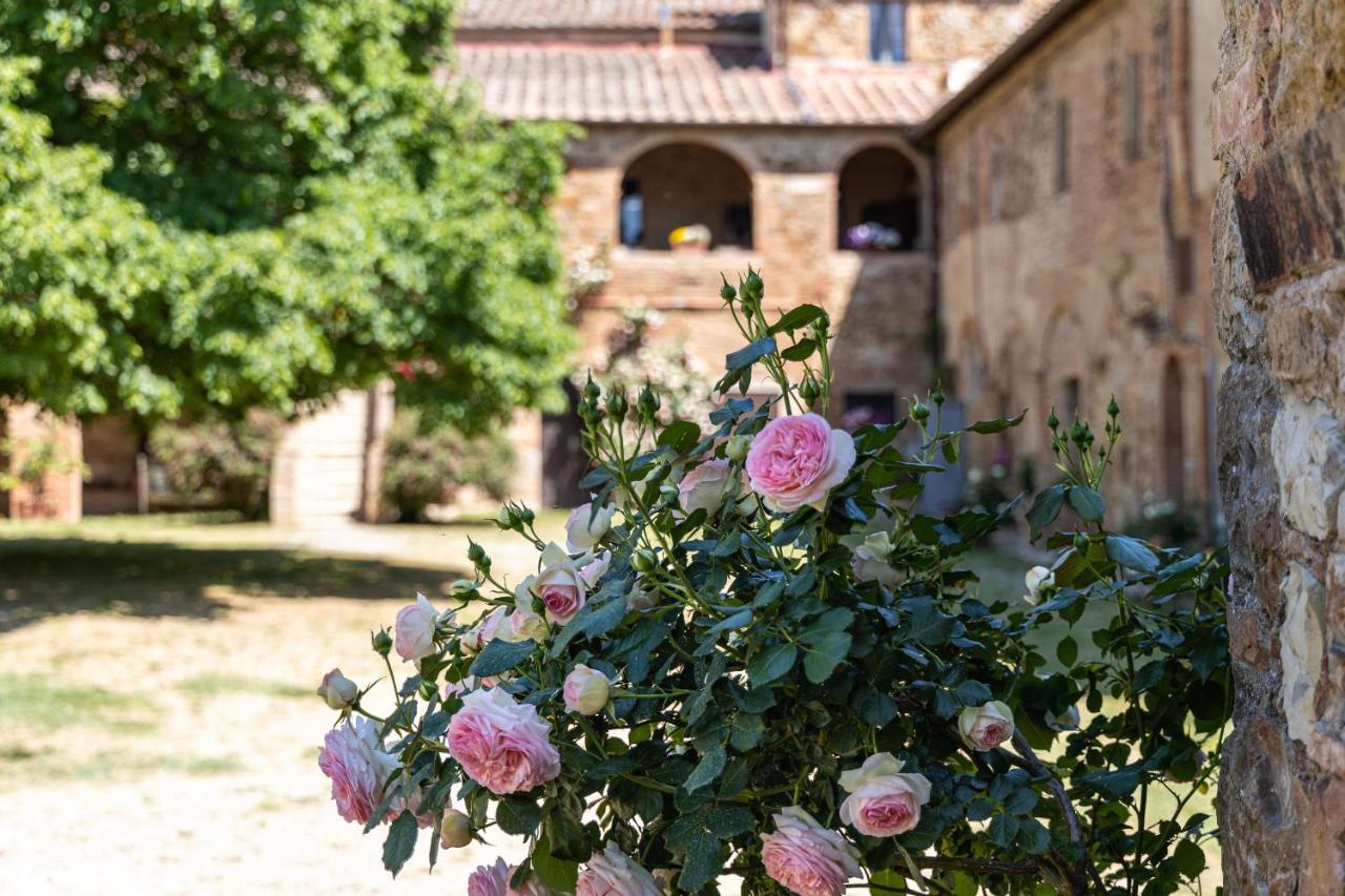 Badia Ardenga Aparthotel Montalcino Exterior foto