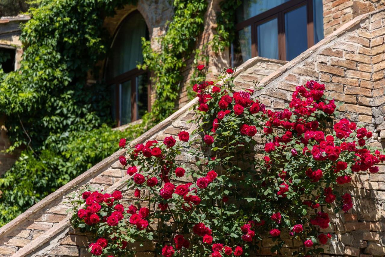 Badia Ardenga Aparthotel Montalcino Exterior foto